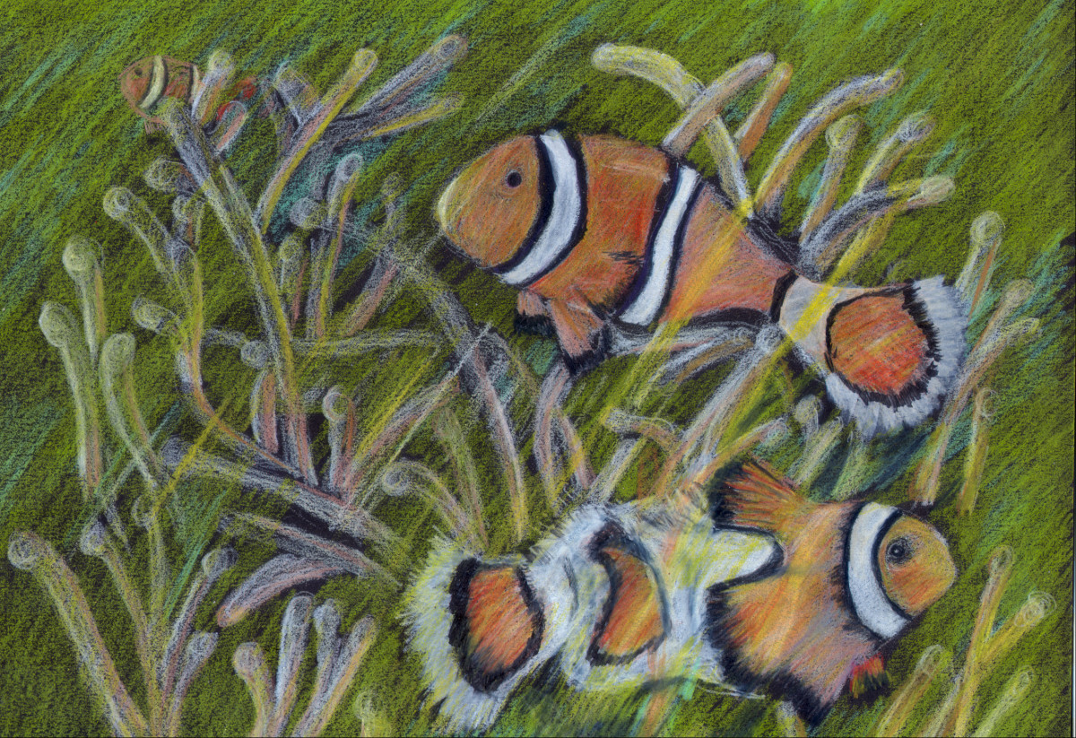 "Clownfish with Sea Anemone" by Candace Hardy 