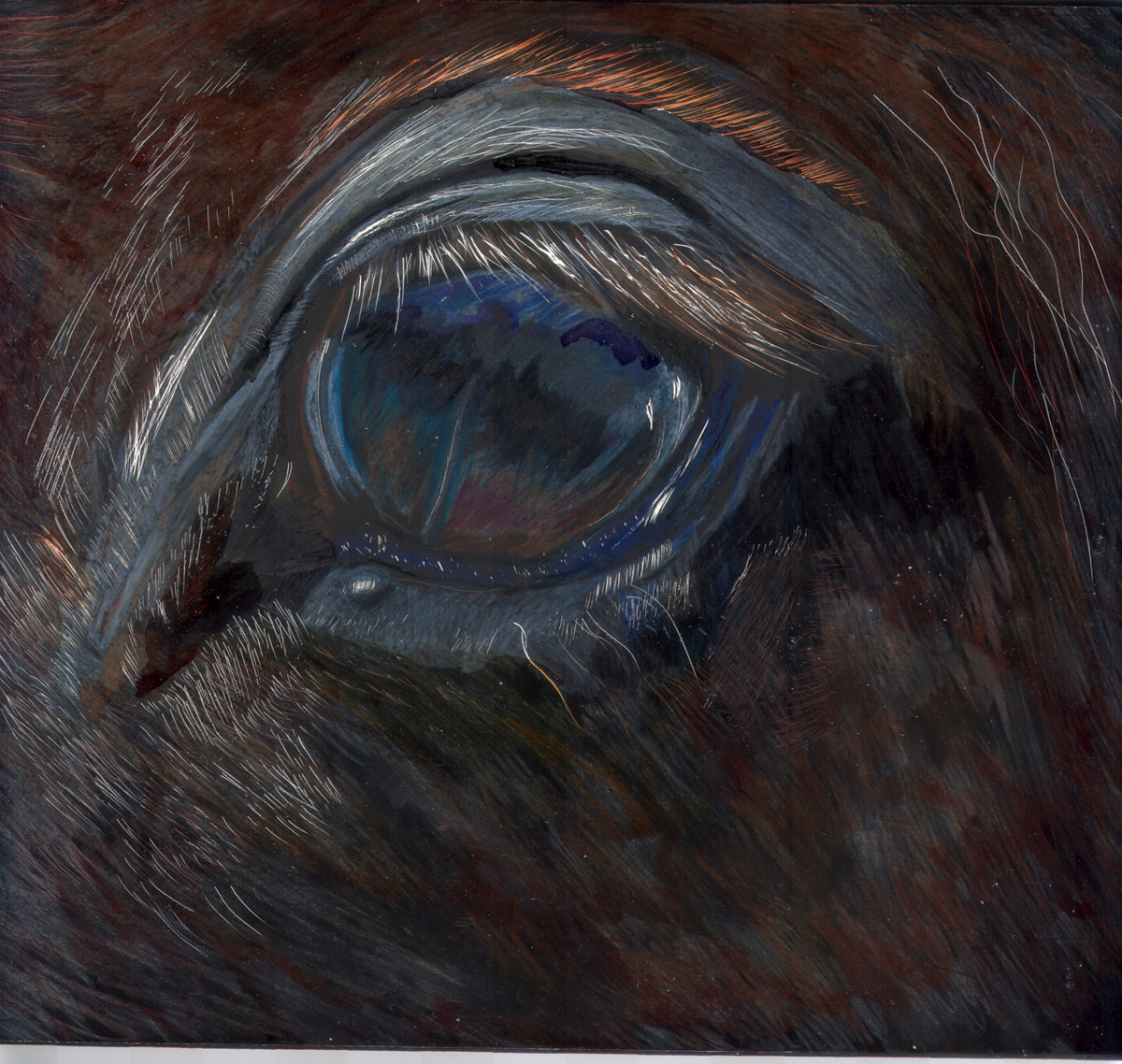 "Horse's Eye" by Candace Hardy 