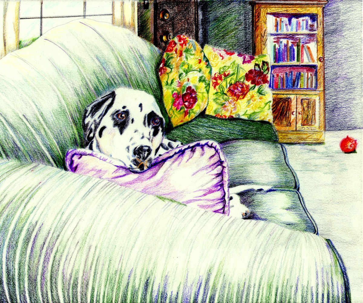 "Lily on the Couch" by Candace Hardy, Image 1.