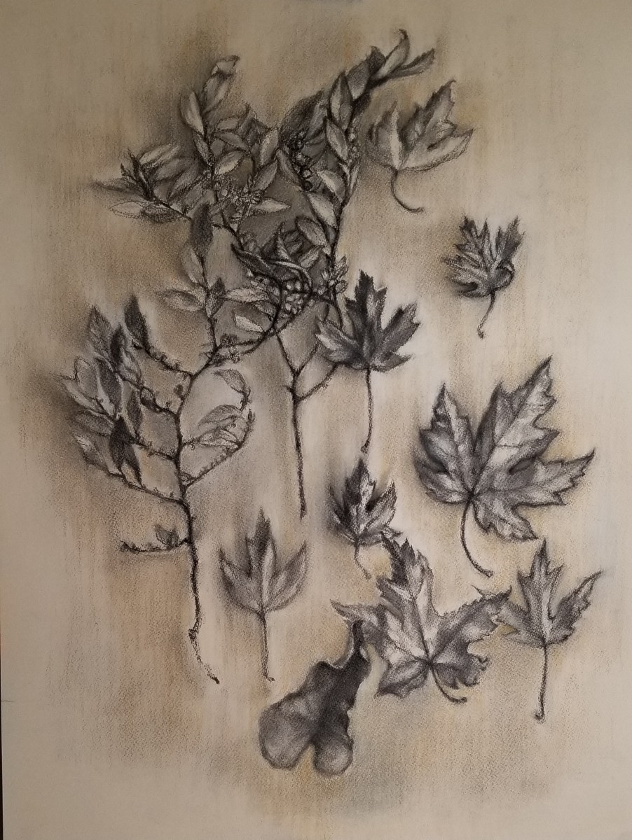 Fall Leaves by Nancy Jaramillo 