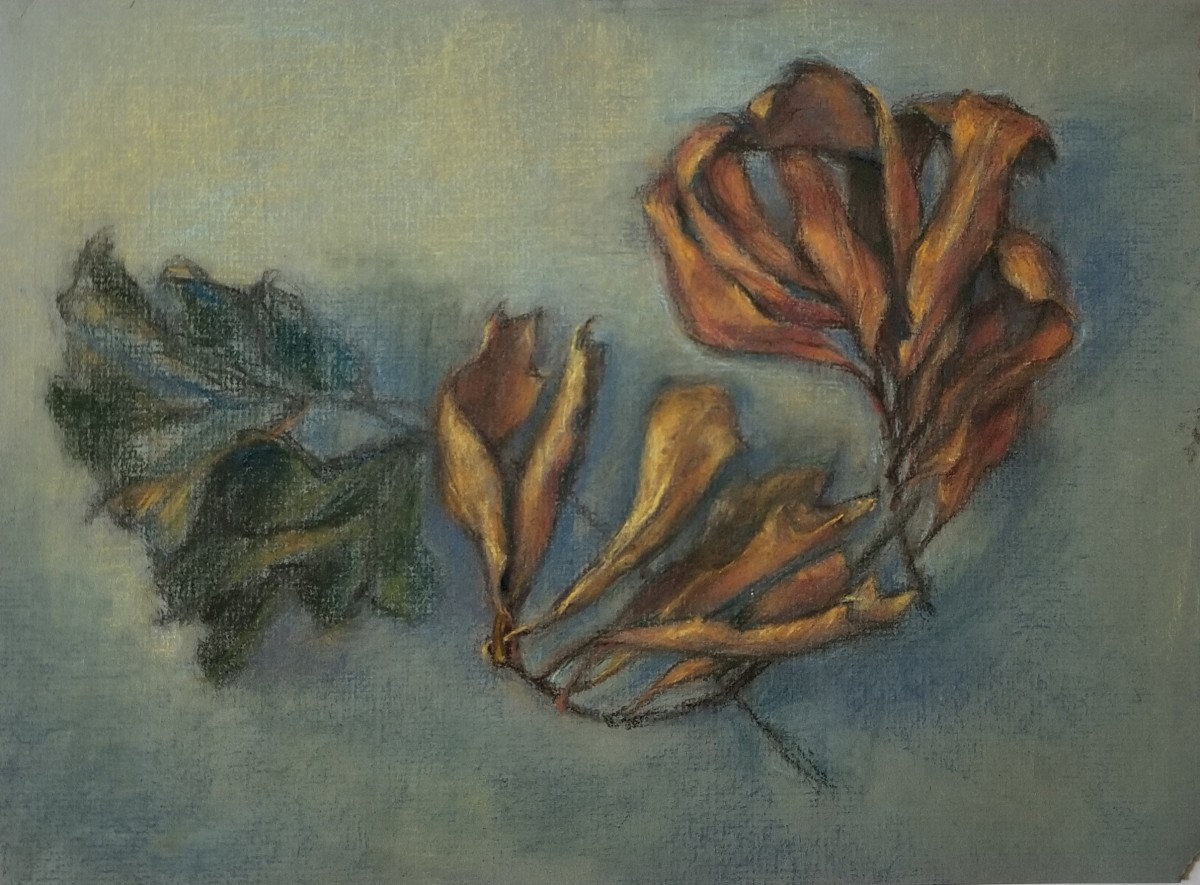 Live Oak Leaves by Nancy Jaramillo 