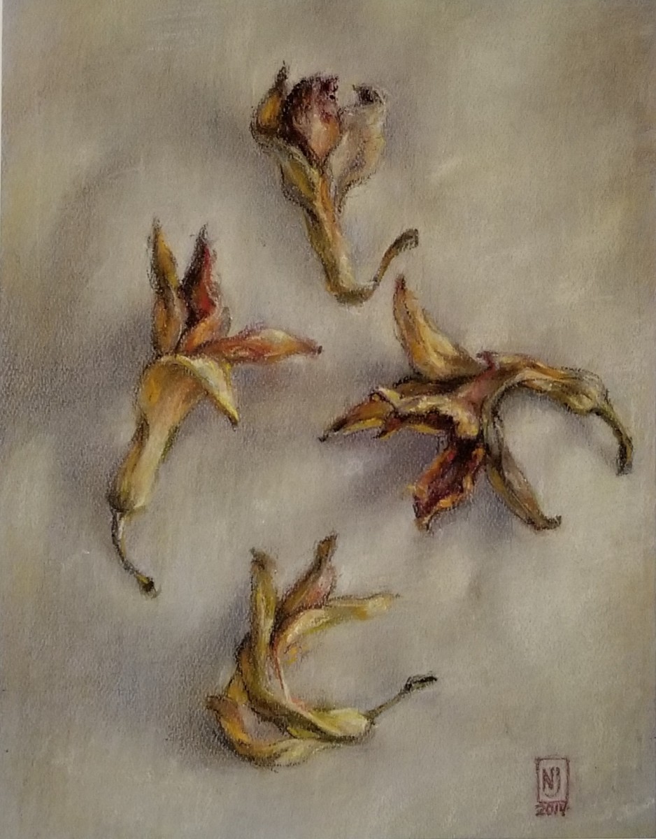 Day Lily Blossoms by Nancy Jaramillo 