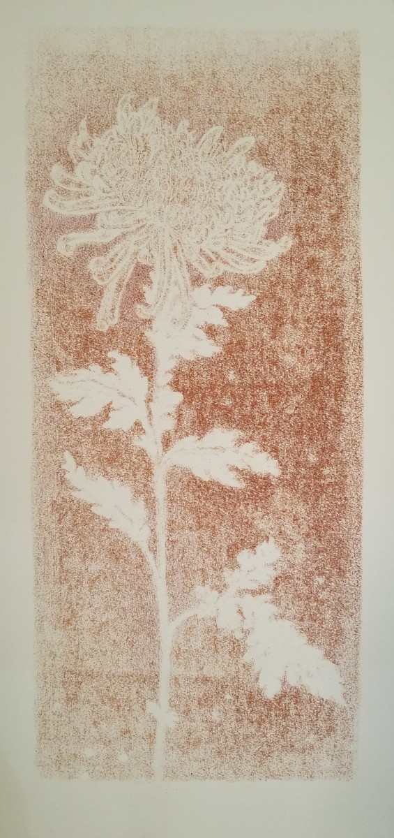 Ghost Chrysanthemum I by Nancy Jaramillo 