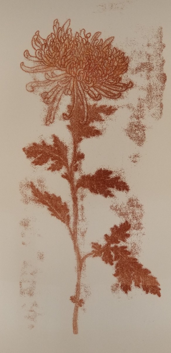 Autumnal Chrysanthemum by Nancy Jaramillo 