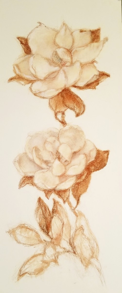Magnolia Blossoms I by Nancy Jaramillo 