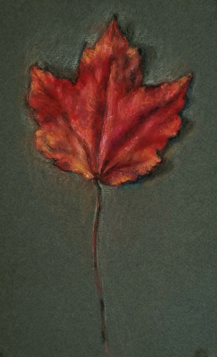 Maple Leaf by Nancy Jaramillo 