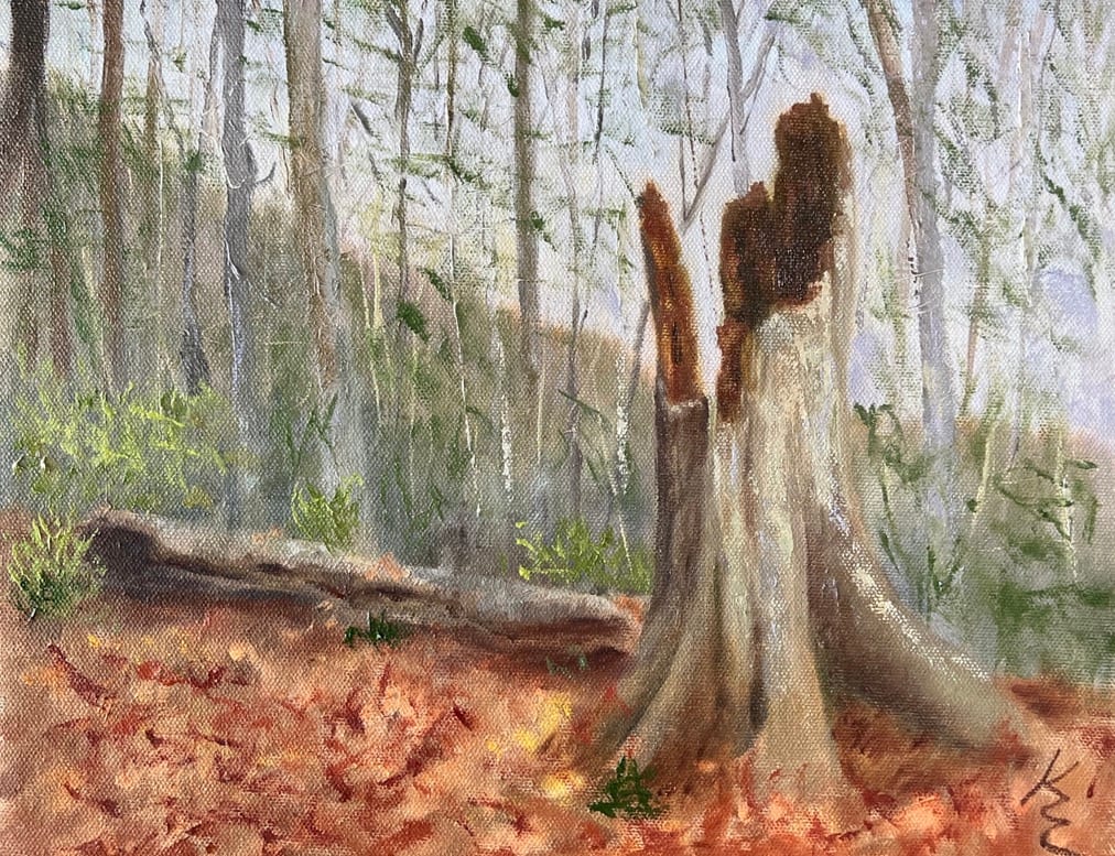 Silent Sentinel by Kate Emery 