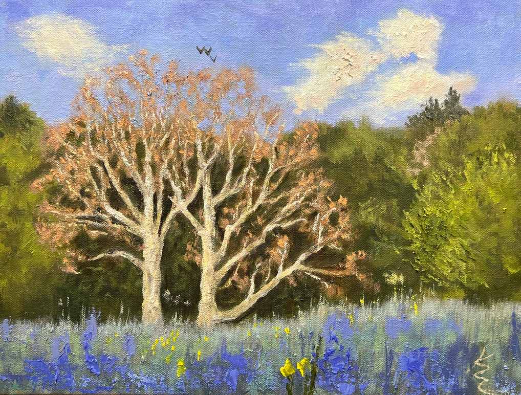 Sycamore by Kate Emery 