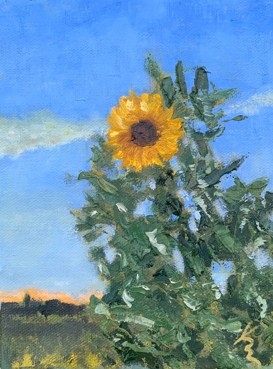 Sun's Coming by Kate Emery 