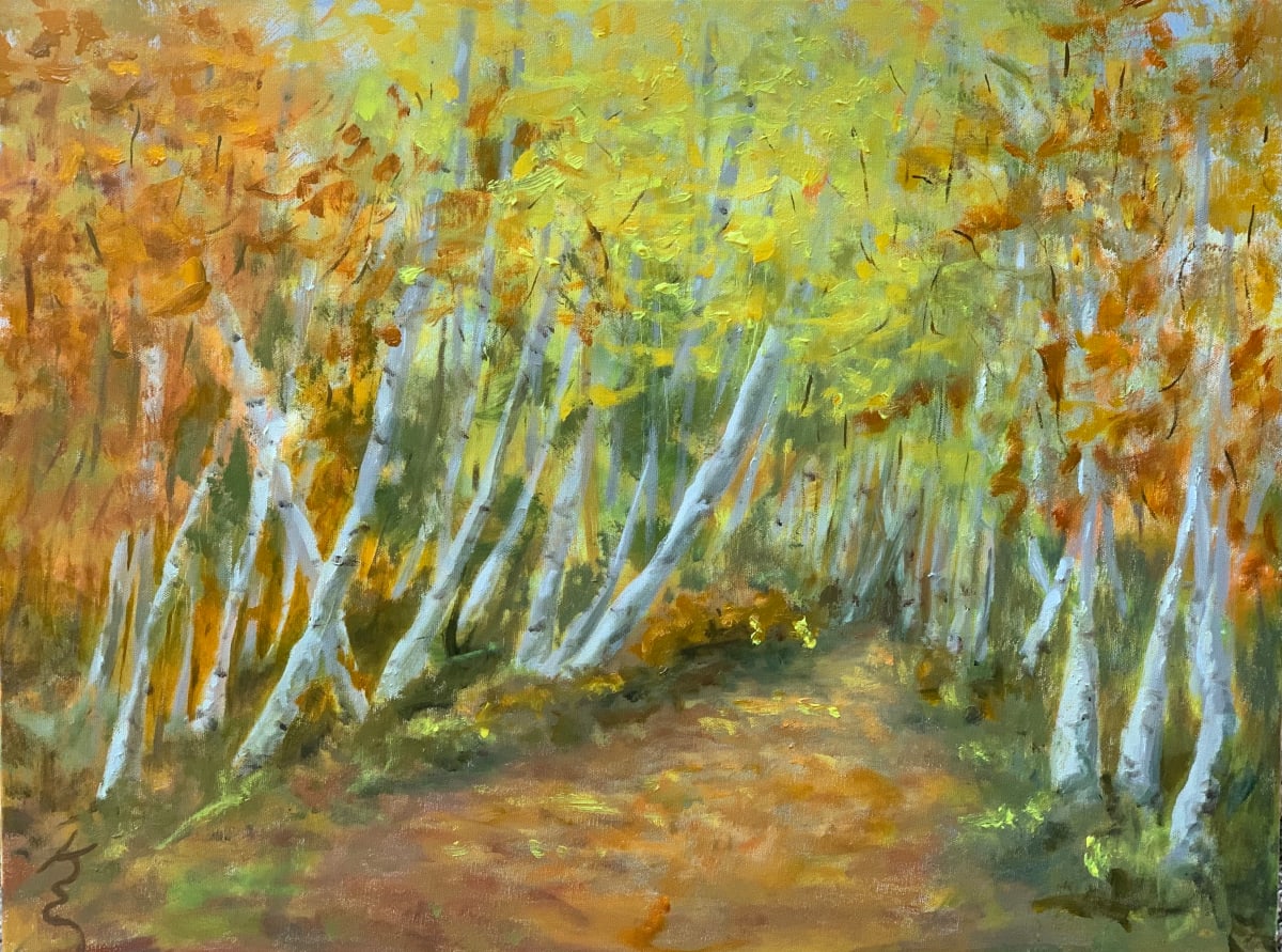 Birch Lit Path by Kate Emery 