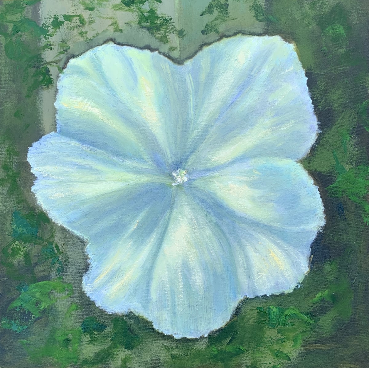Moonflower 