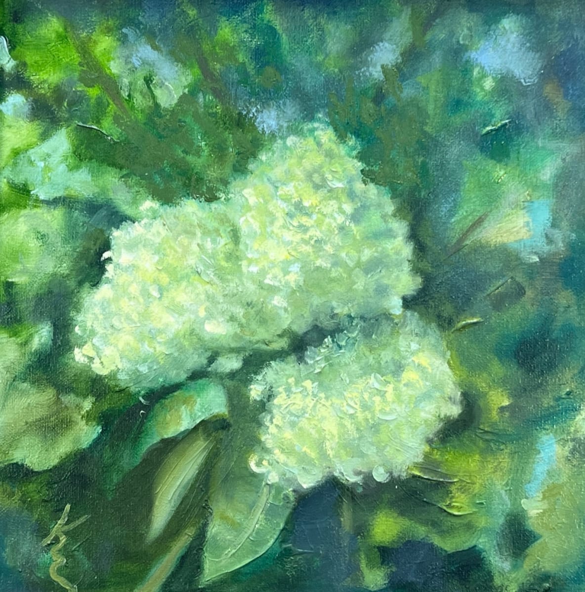 Hydrangea by Kate Emery 