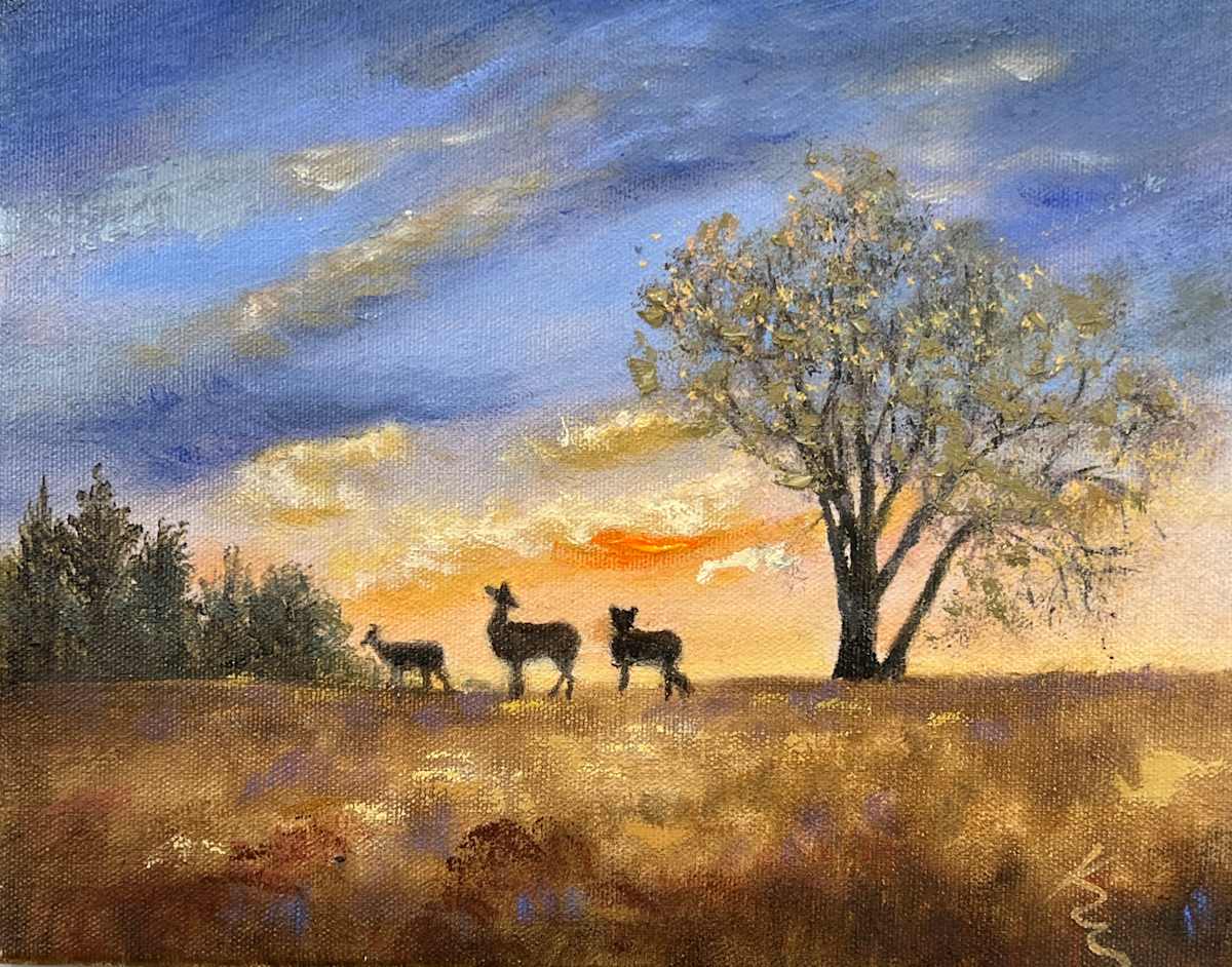 Hill-Stead High Perch by Kate Emery 