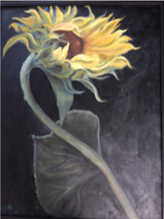 Sunflower by Kate Emery 