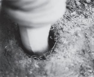 Digger by Joy Episalla 