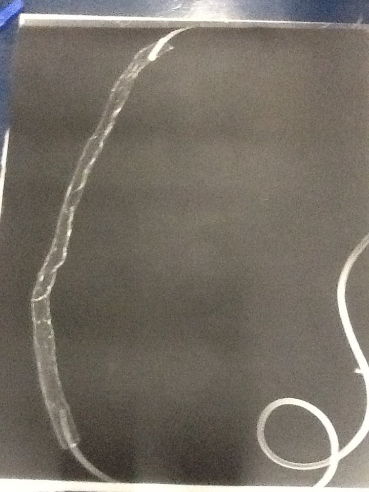 Landscape photogram5 by David Nelson 