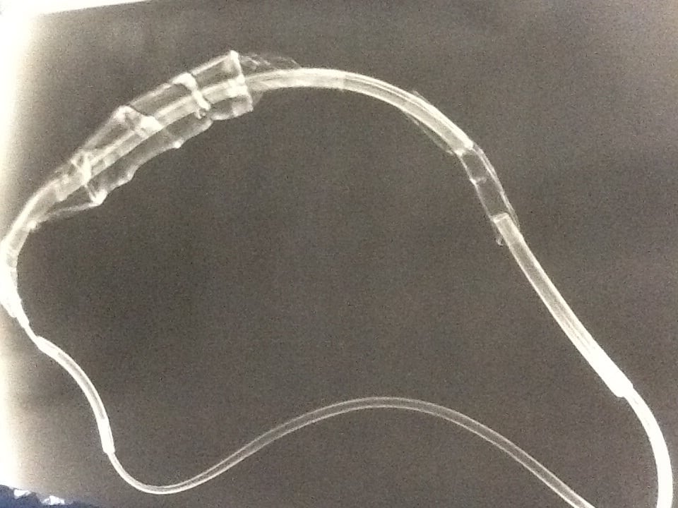 Landscape photogram 1 by David Nelson  