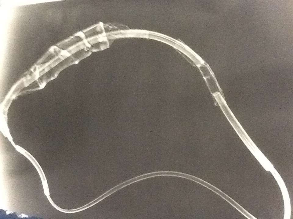 Landscape photogram 1 by David Nelson , Image 1.
