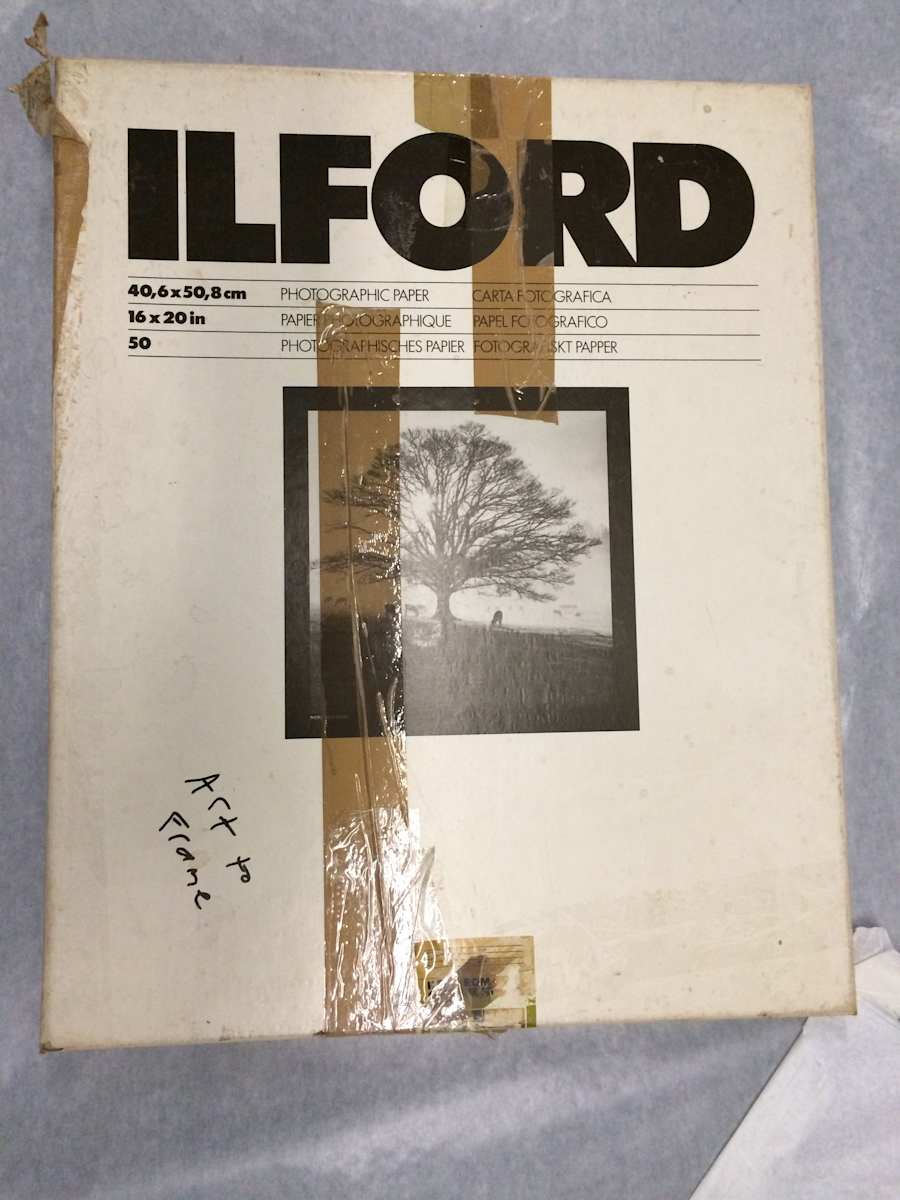 Untitled by Barry Paddock, Image 1.