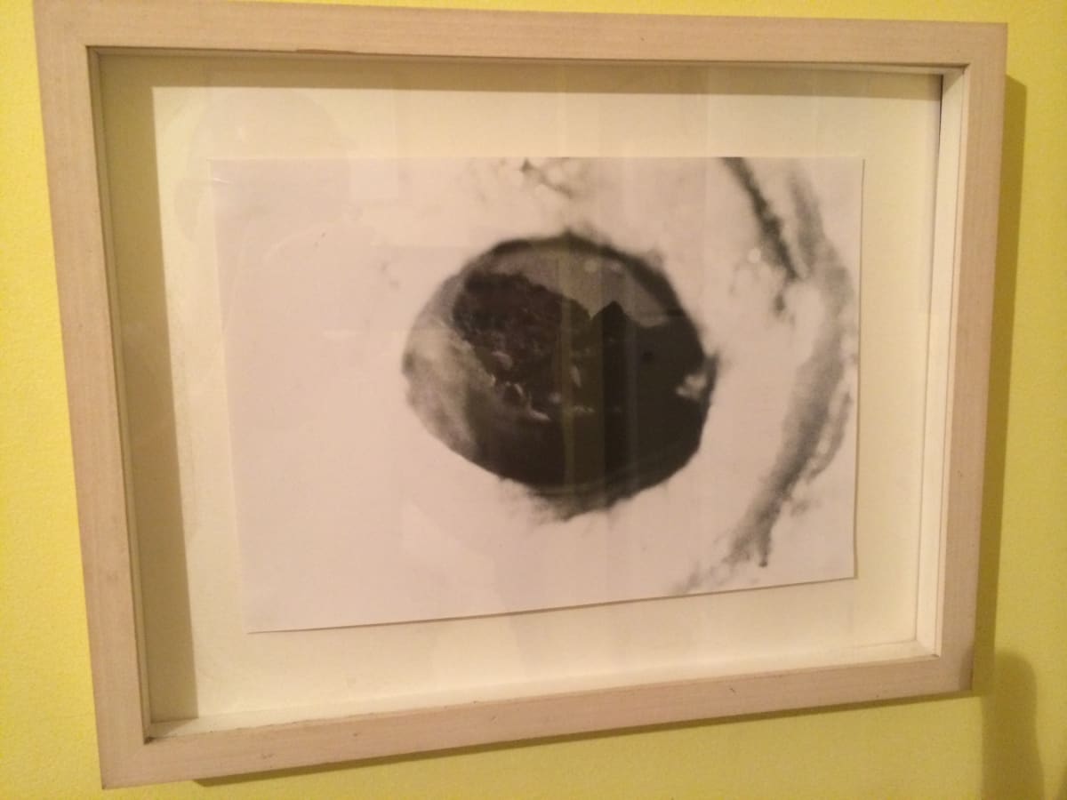 Untitled by David Nelson 