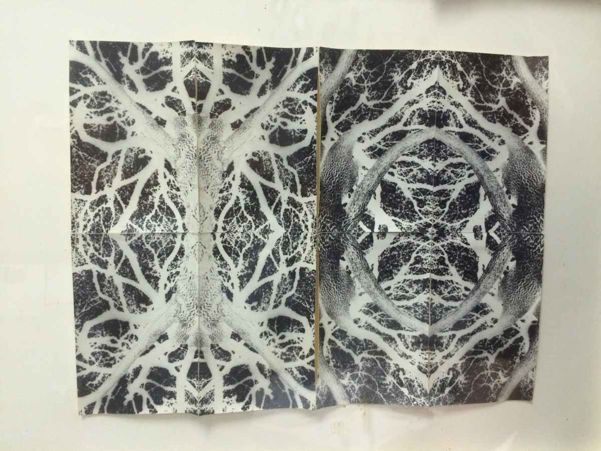 Untitled  by David Nelson, Image 1.