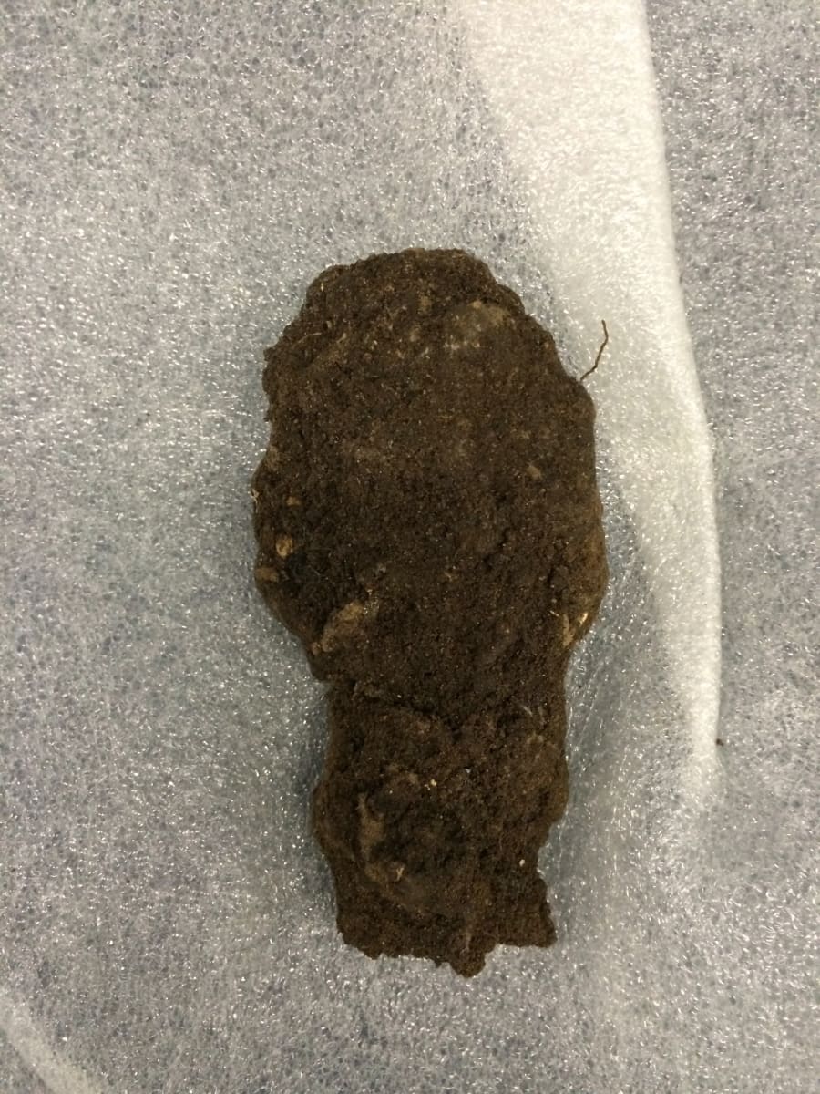 Untitled (hole) by David Nelson 