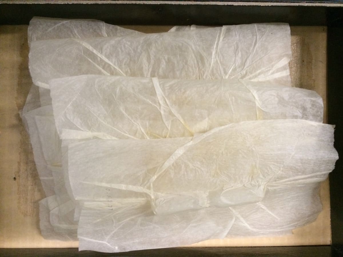 Untitled (tissue hour glass) by David Nelson 