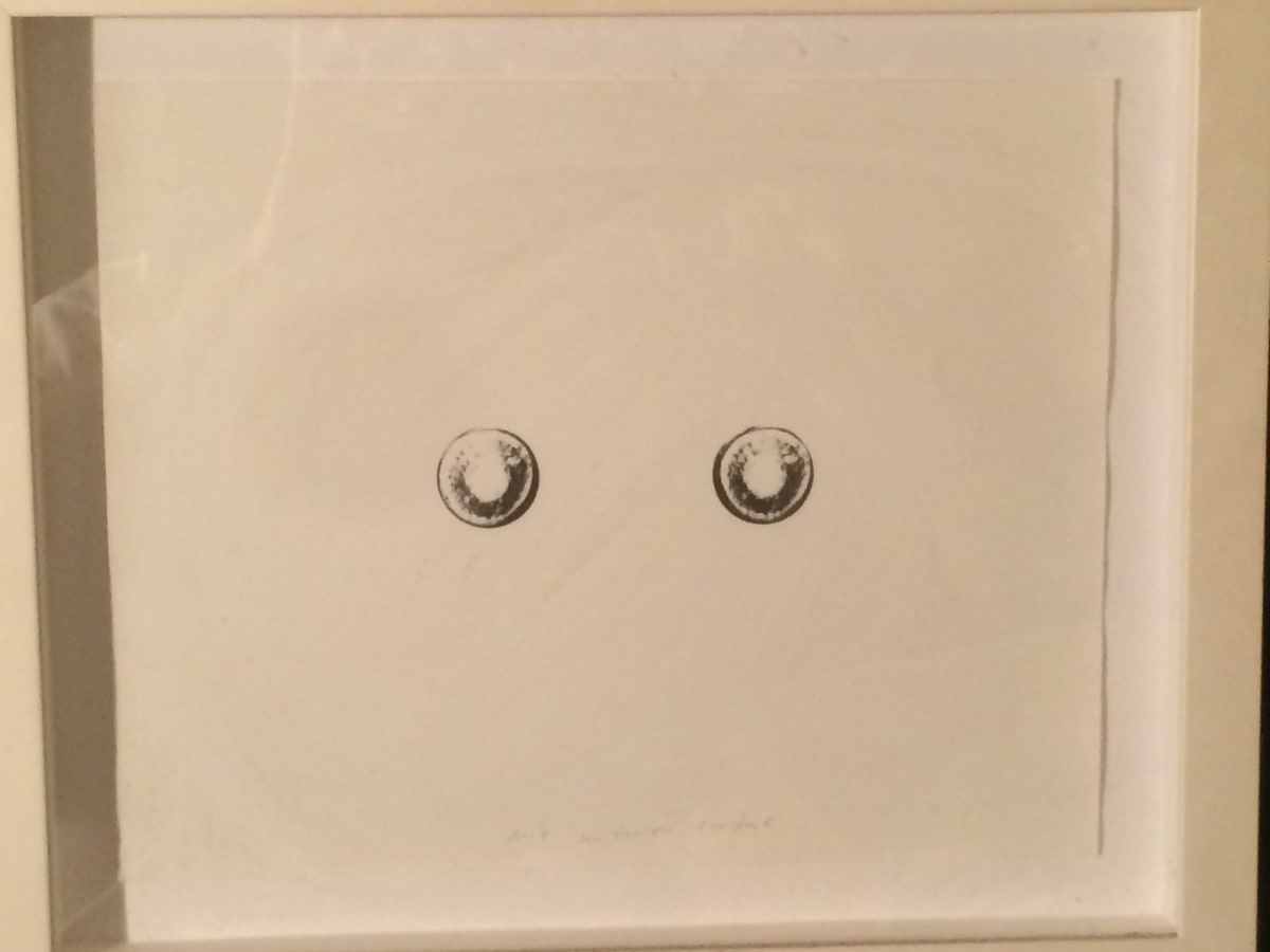 Irises by David Nelson 