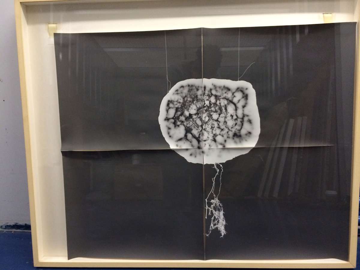 Untitled by David Nelson, Image 1.