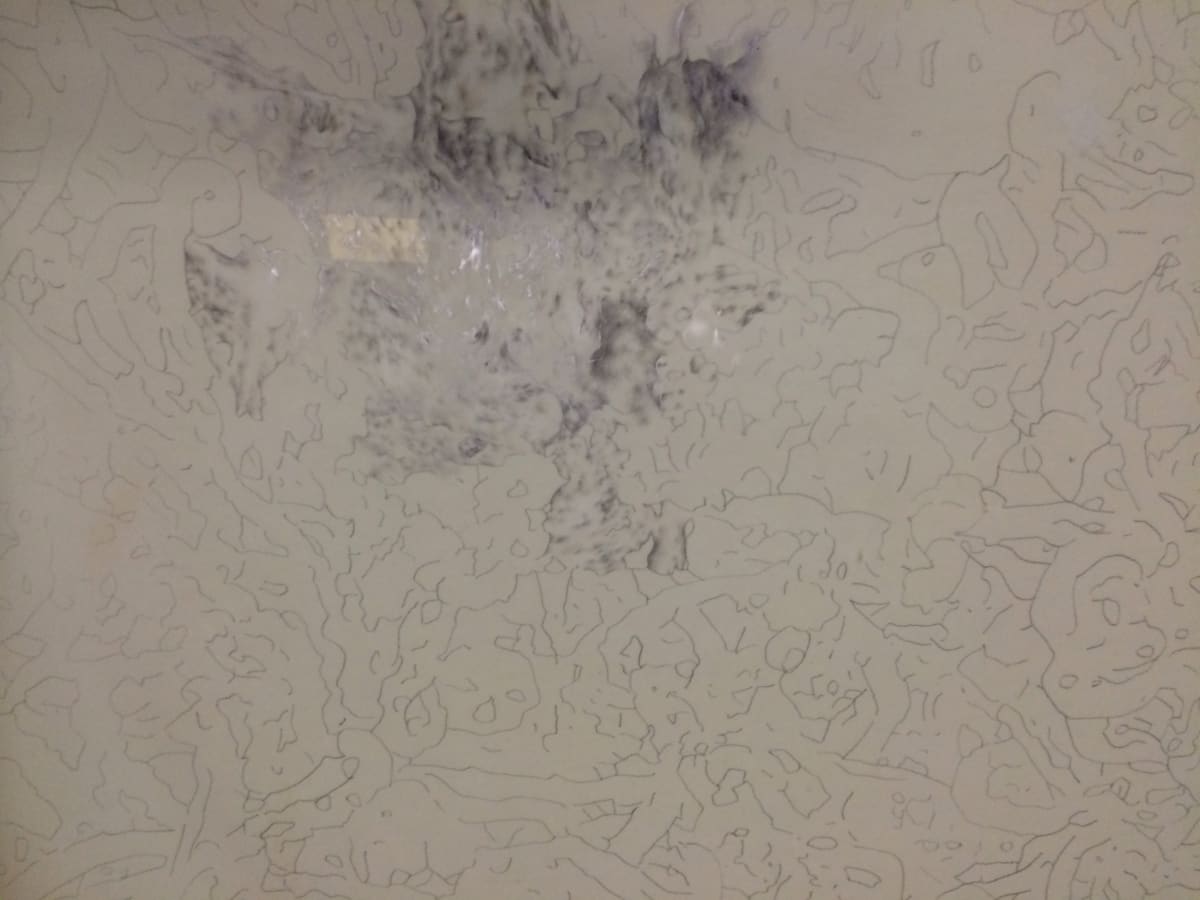 Expansion foam drawing 1 by David Nelson 