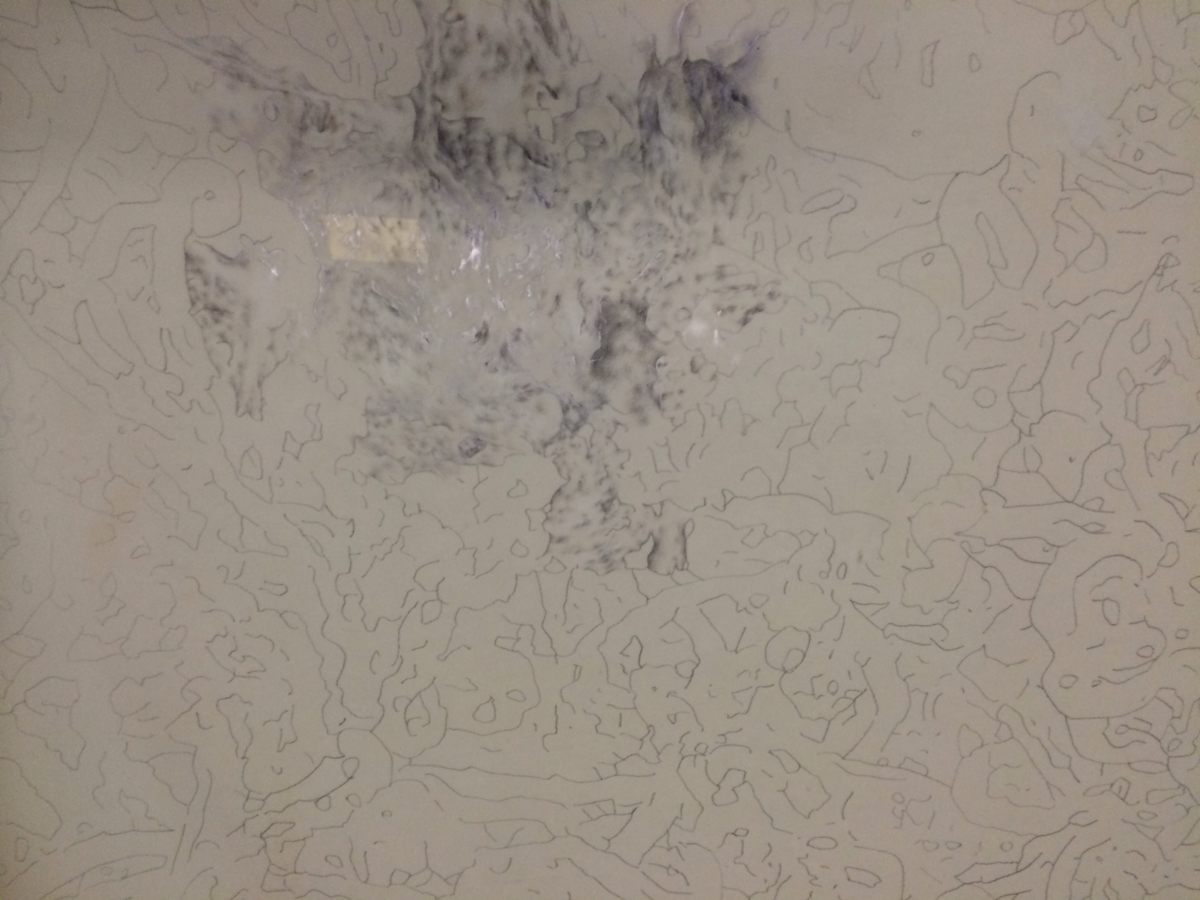 Expansion foam drawing 1 by David Nelson, Image 1.