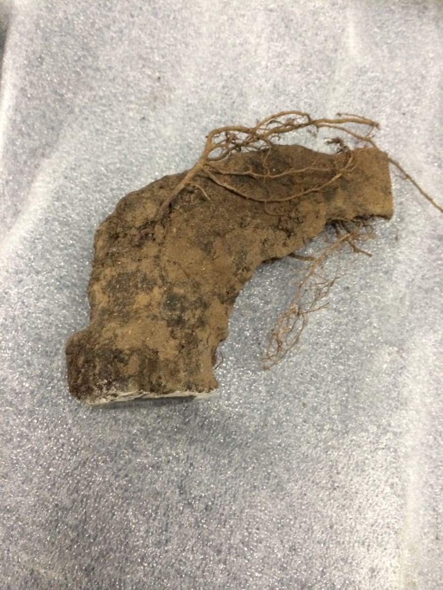 Untitled (hole) by David Nelson 