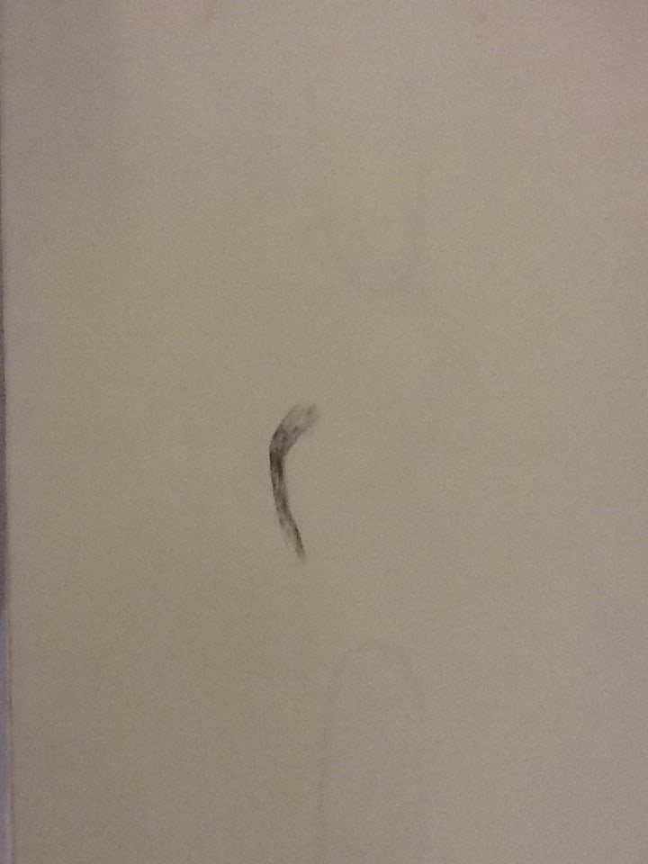 Knot drawing 16 by David Nelson 