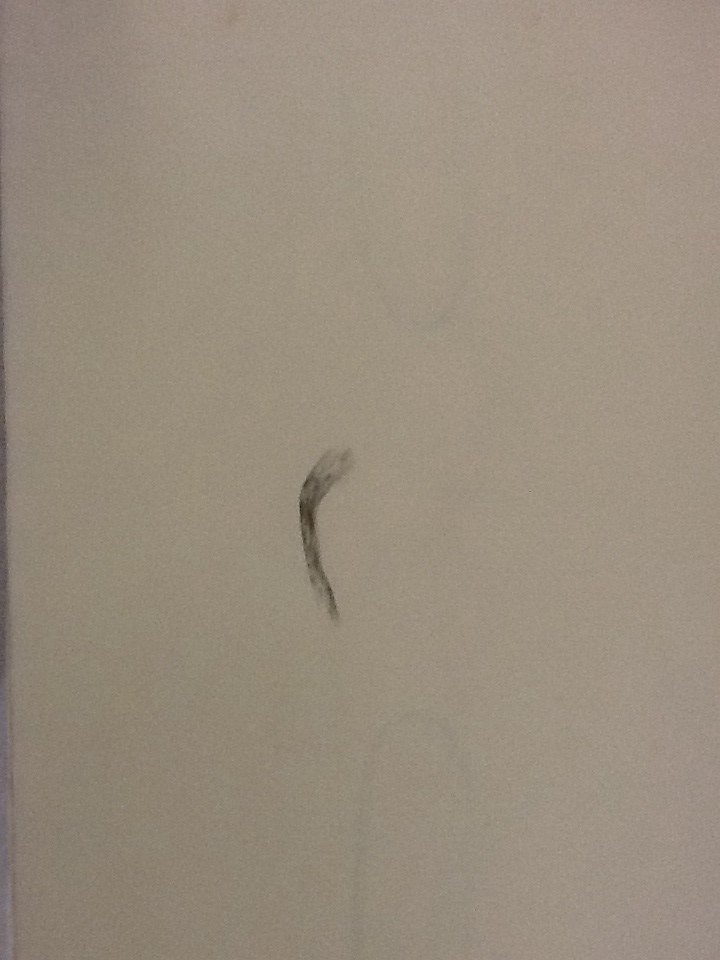 Knot drawing 16 by David Nelson, Image 1.