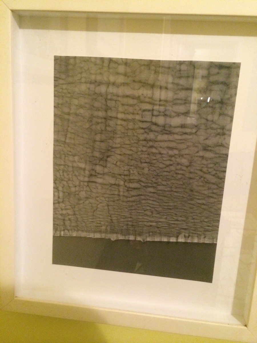 Untitled by David Nelson 