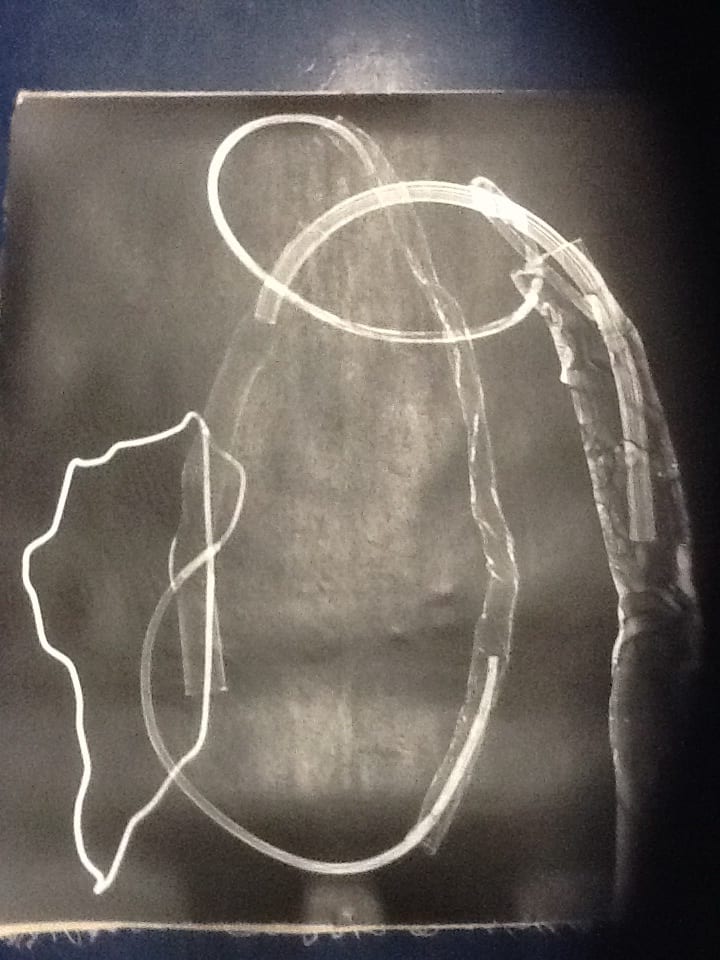 Landscape photogram 2 by David Nelson 