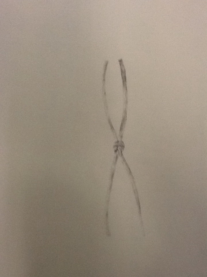 Knot drawing 24 by David Nelson 