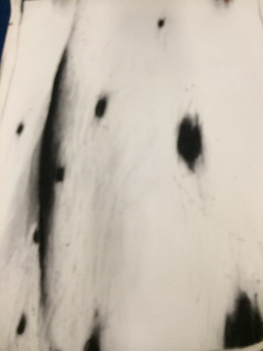 Untitled abstracted charcoal drawings  by David Nelson  