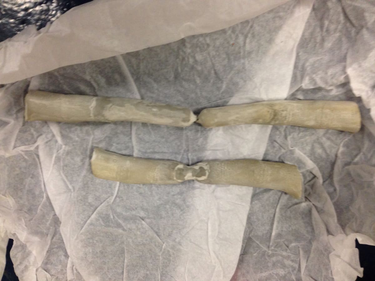 Untitled (connected fingers) by David nelson 