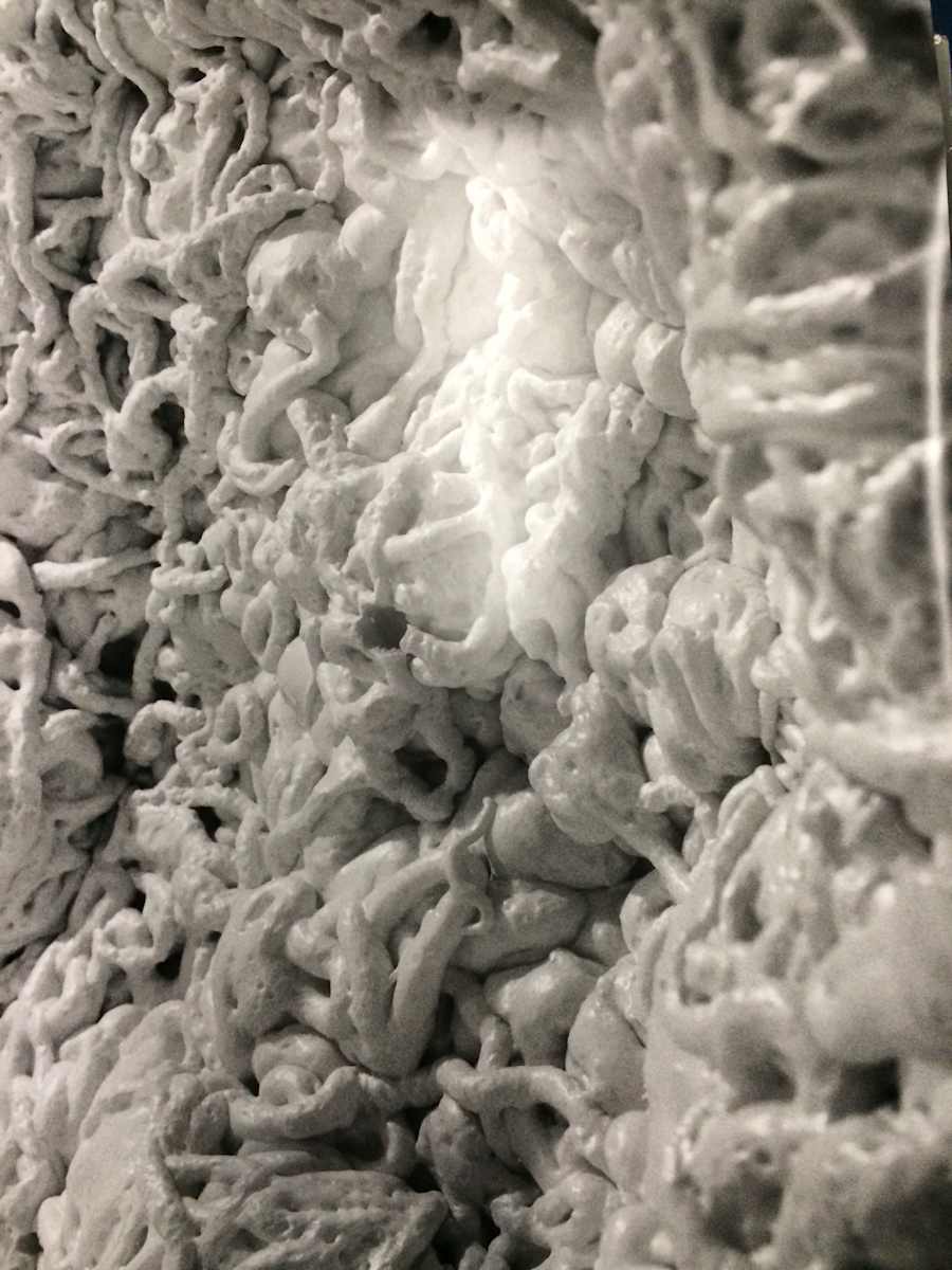 Untitled expansion foam photograph by David Nelson , Image 1.