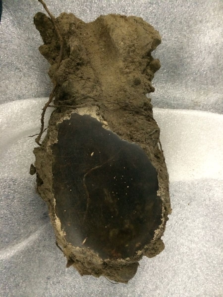 Untitled (hole) by David Nelson 