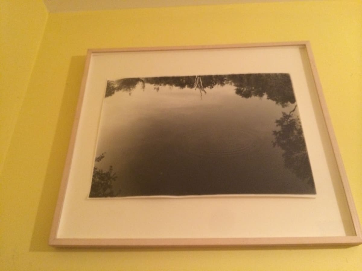 Untitled by David Nelson 