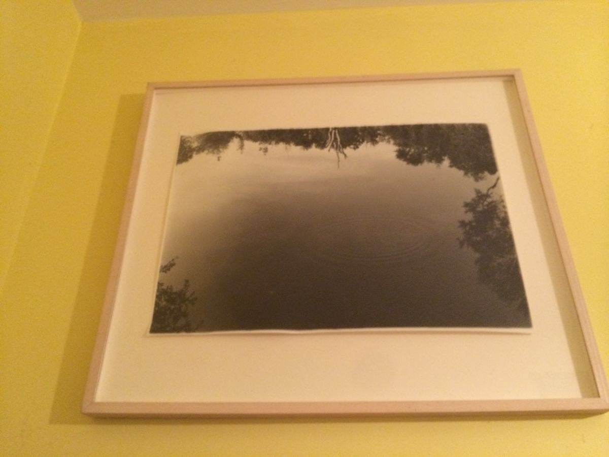 Untitled by David Nelson, Image 1.