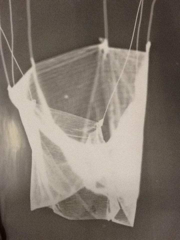 Three small landscape photograms 1 by David Nelson , Image 1.