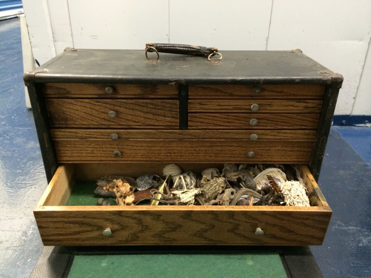 Untitled  by Unknown 