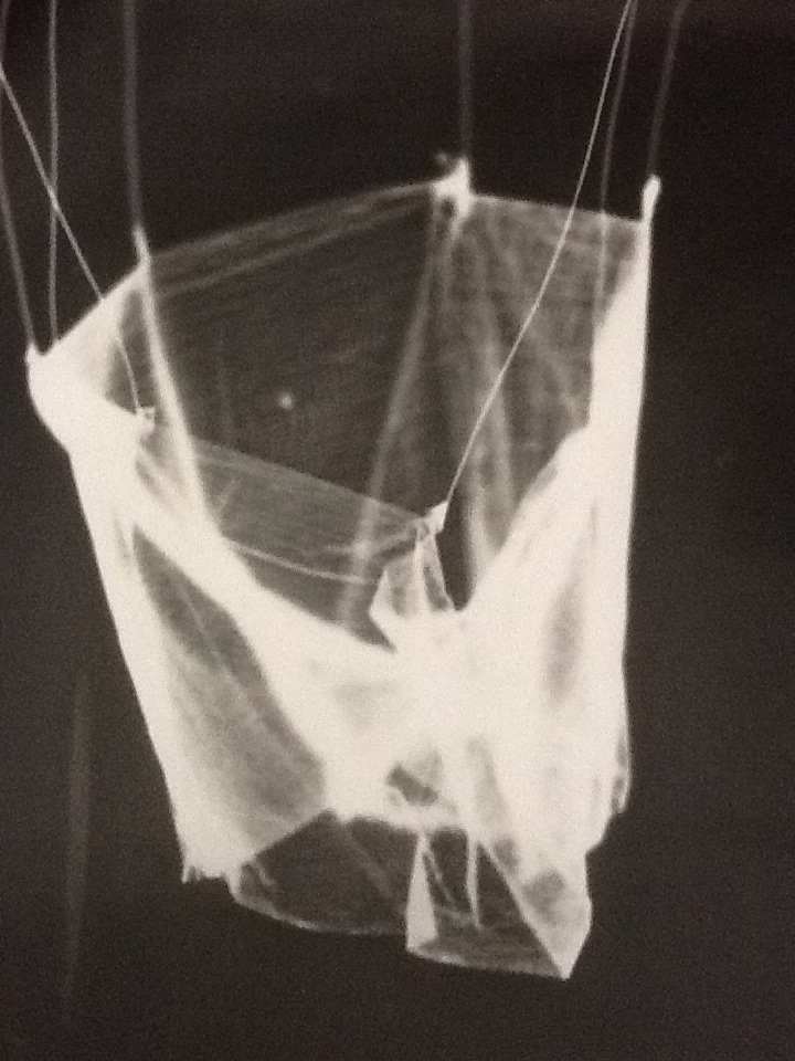 Three small landscape photograms 2 by David Nelson, Image 1.