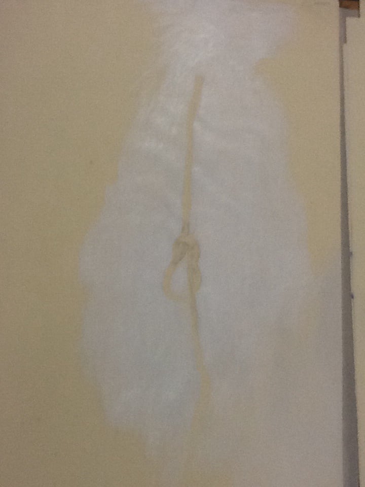 Knot drawing 12 by David Nelson 