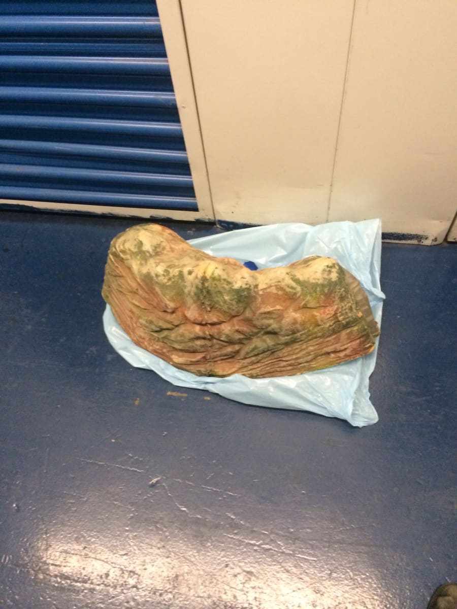 Untitled tunnel  by David Nelson  