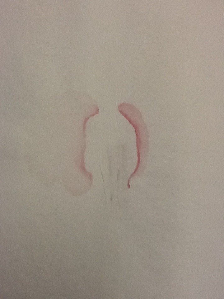 Untitled watercolor by David Nelson, Image 1.