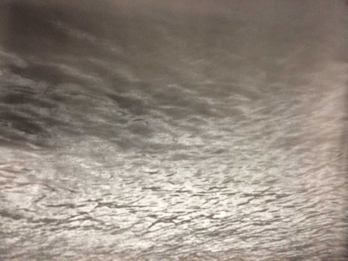 Untitled photograph by David Nelson, Image 1.